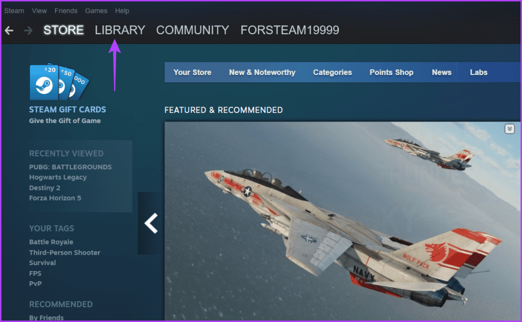 Library option in Steam
