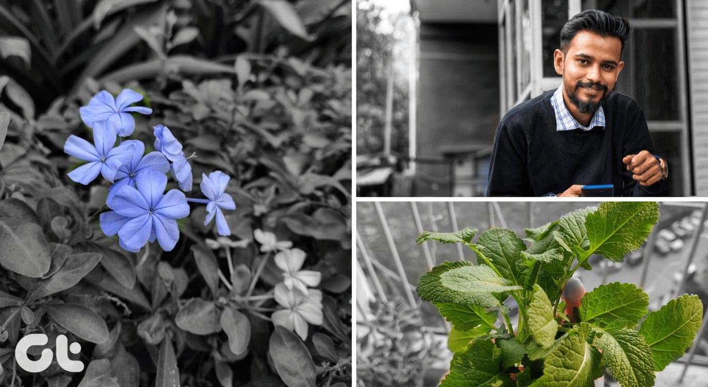 Make Color Pop Photos In Snapseed3