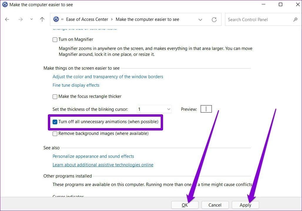 Make Computer Easier to See