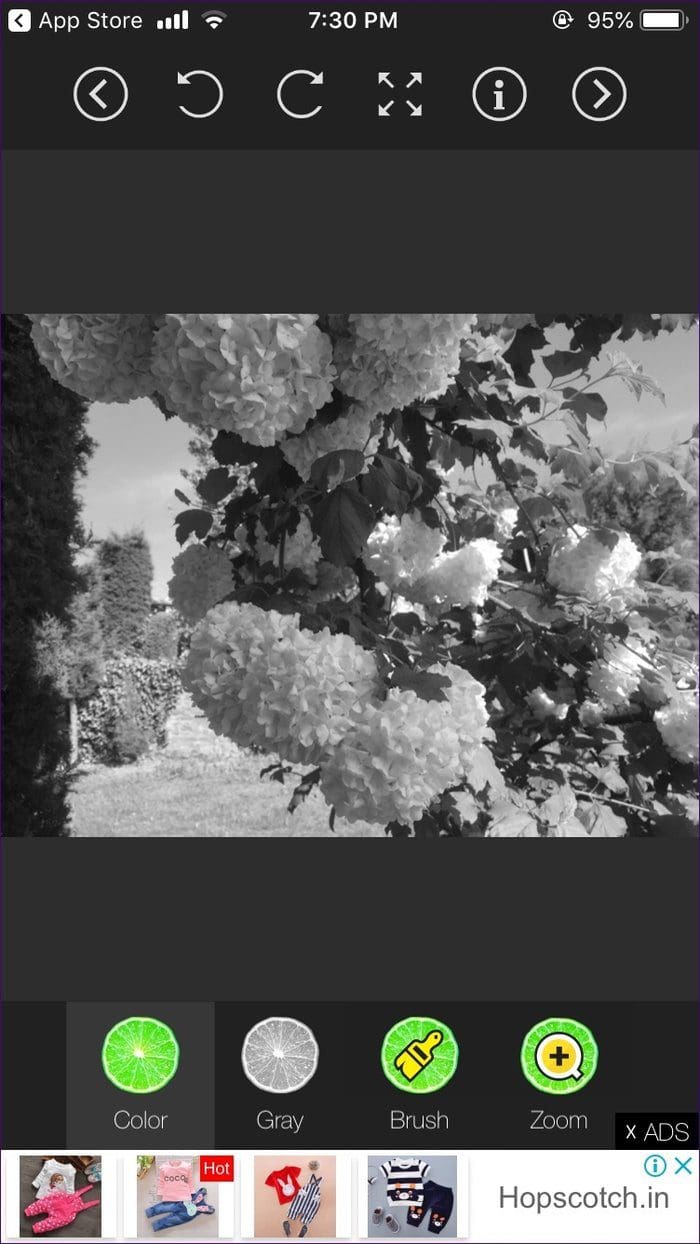 Make Photos Black White With Some Color 18