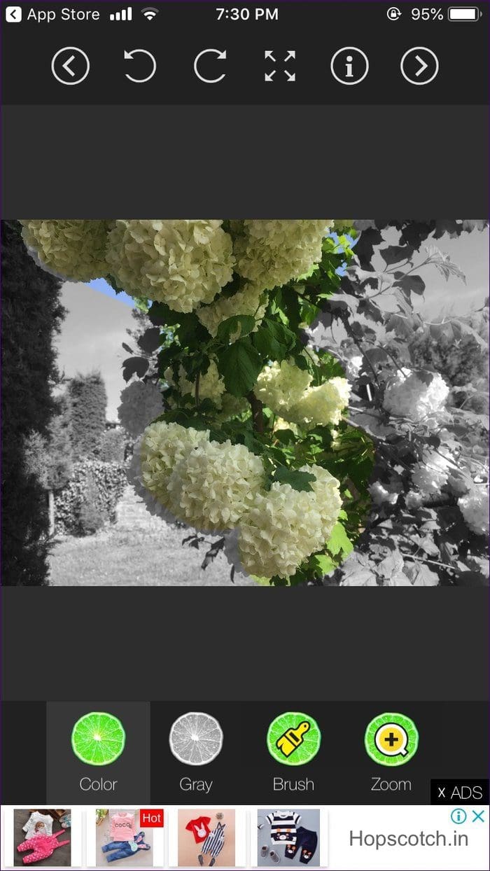 Make Photos Black White With Some Color 19