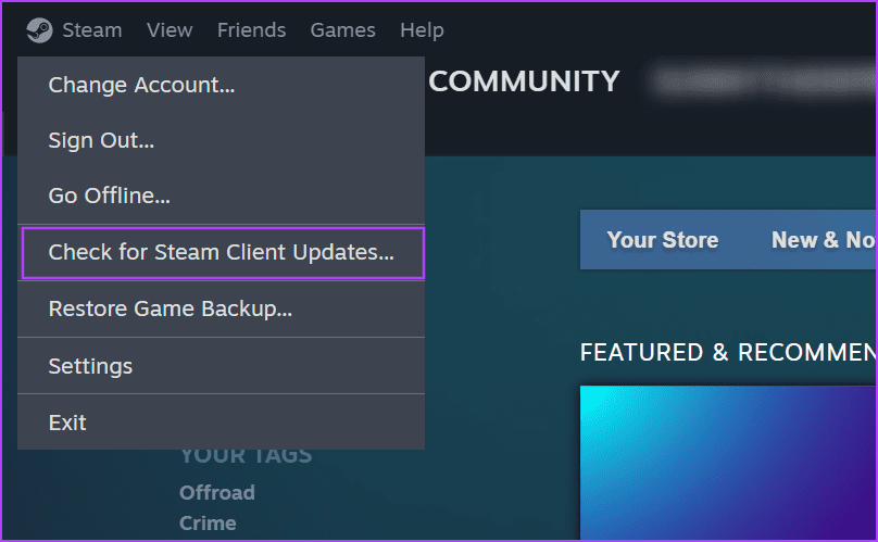 check Update in Steam