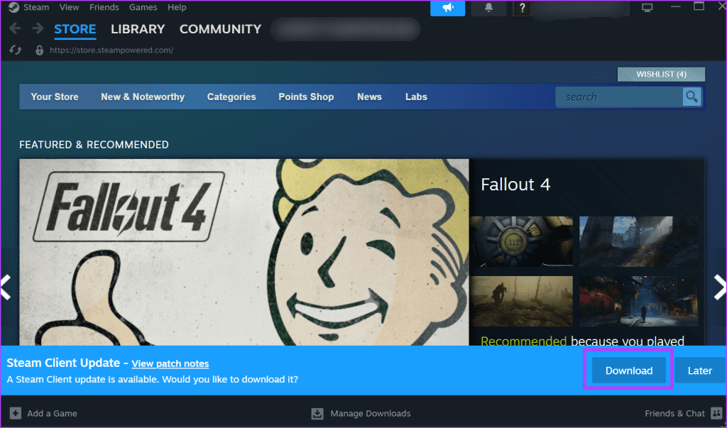 Manually Update Steam