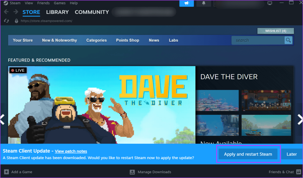 Manually Update Steam