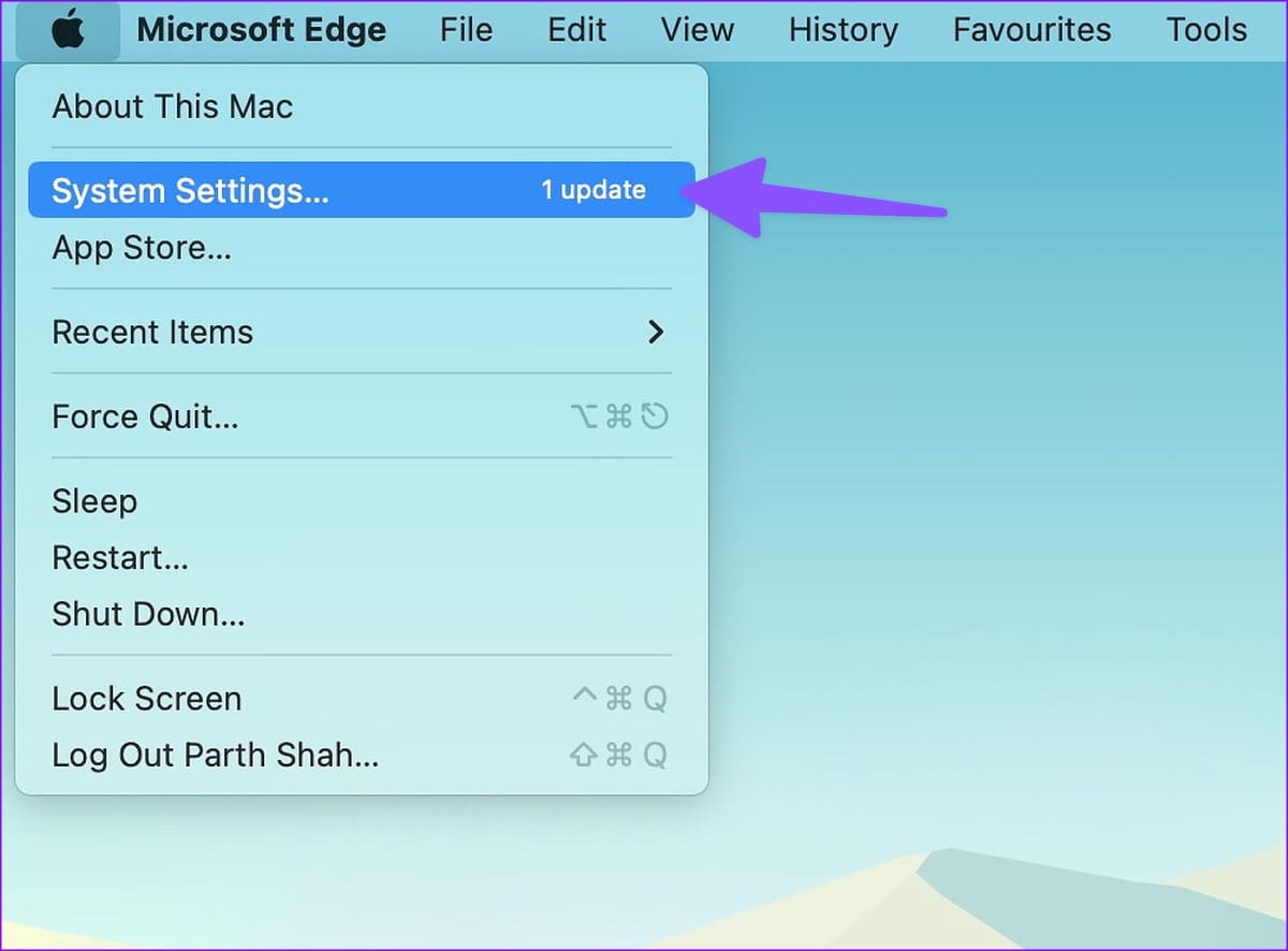 Mac system settings