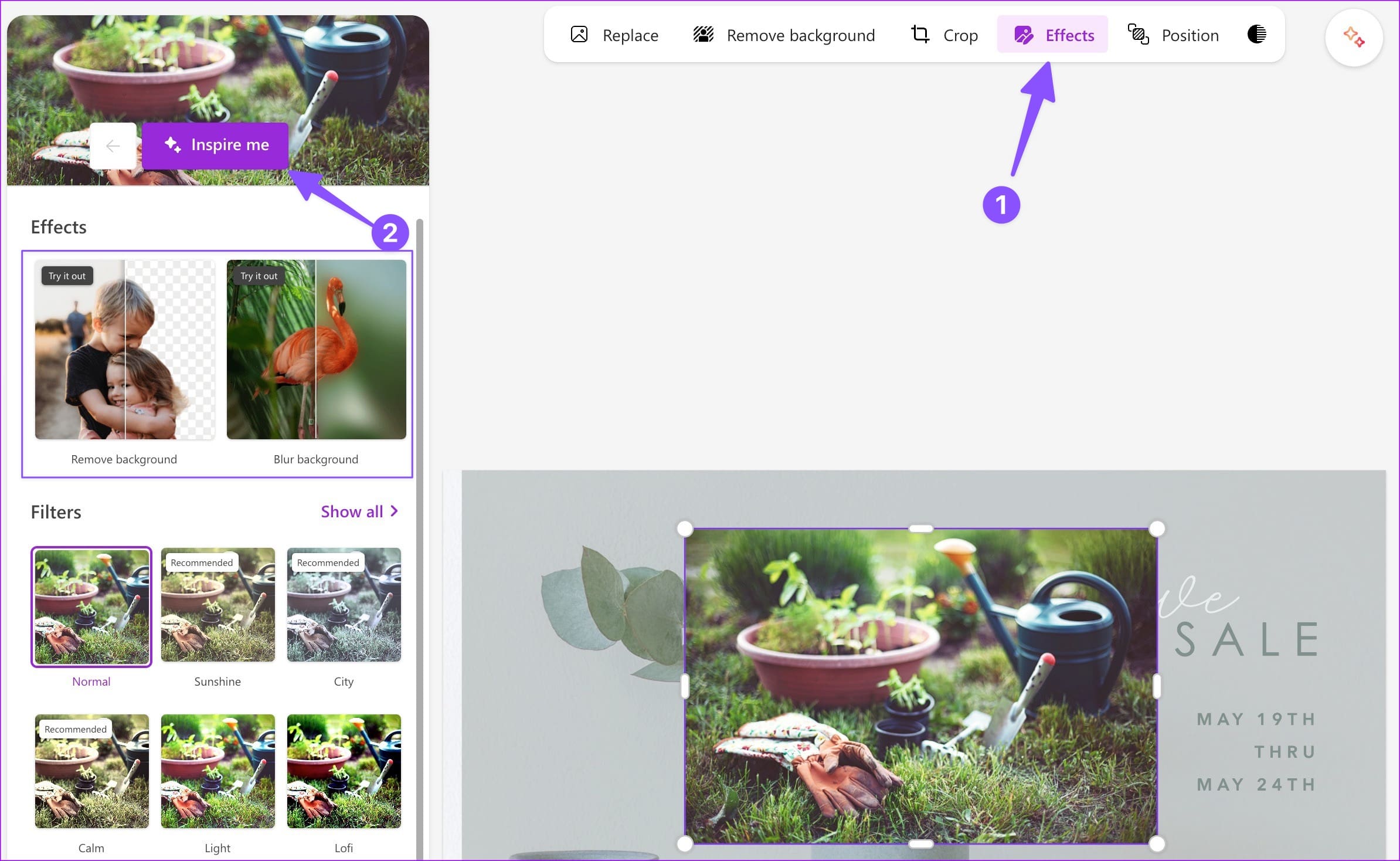 Check AI effects in Microsoft Designer