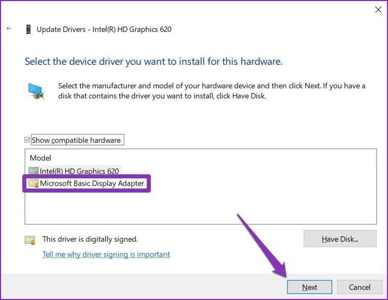 Microsoft Display Adapter