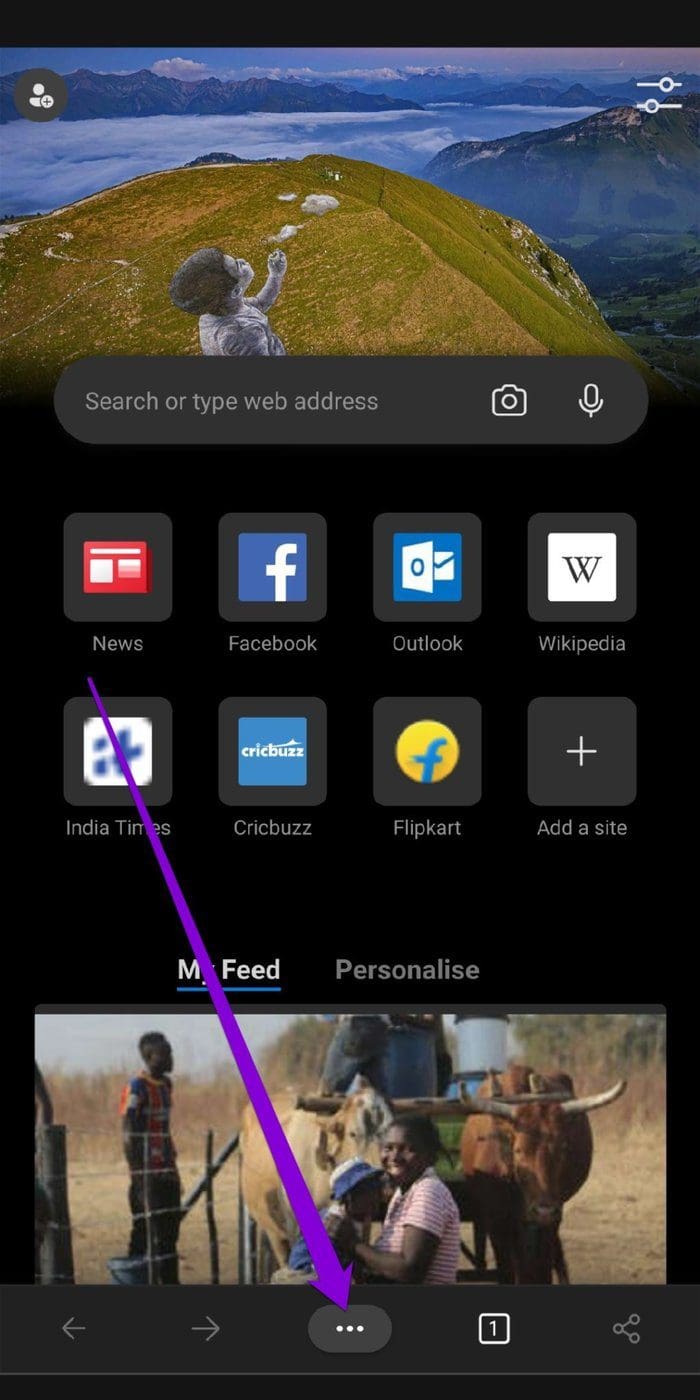 Microsoft Edge Browser