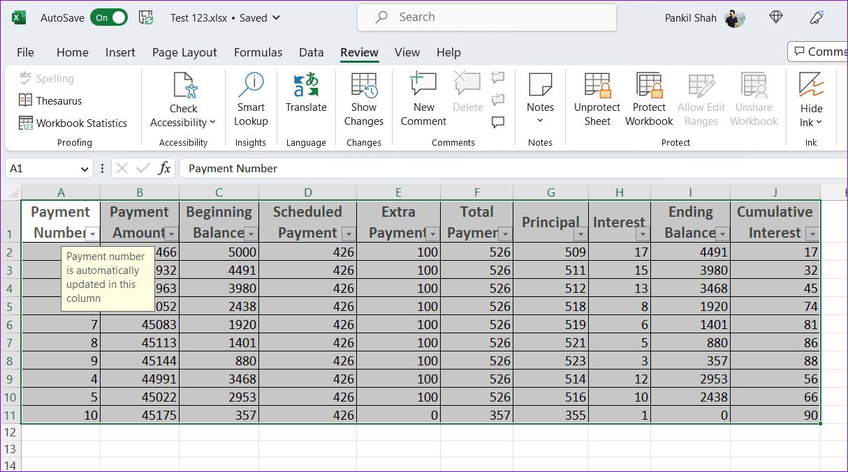 Microsoft Excel Workbook