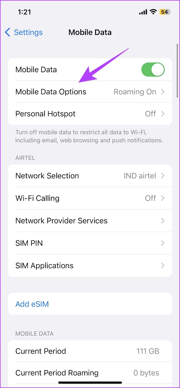 Mobile Data Options
