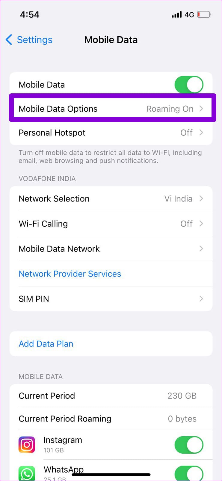 Mobile Data Options