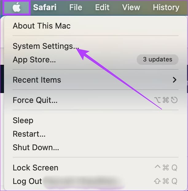 Click on apple logo & go to System Settings