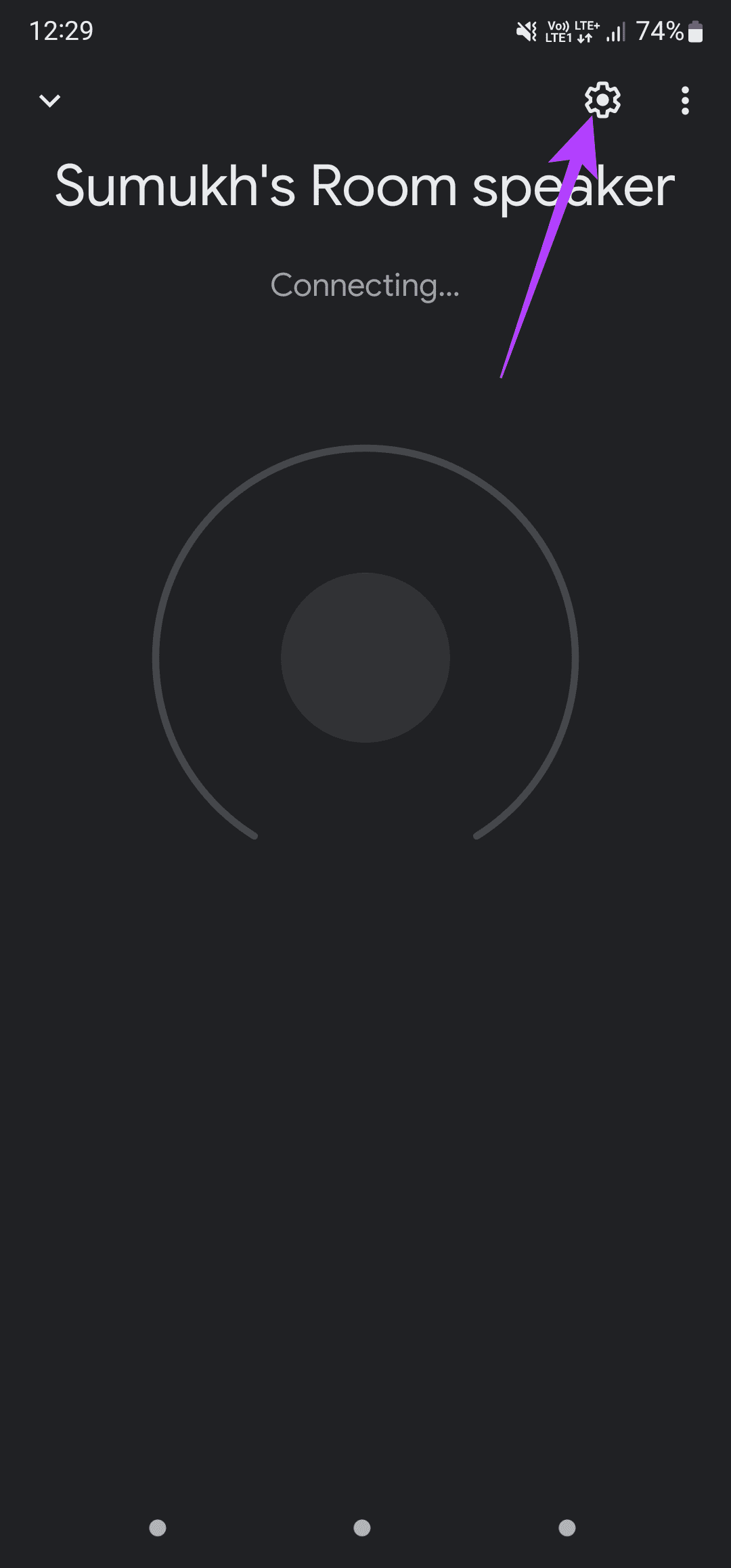 Sepaker settings