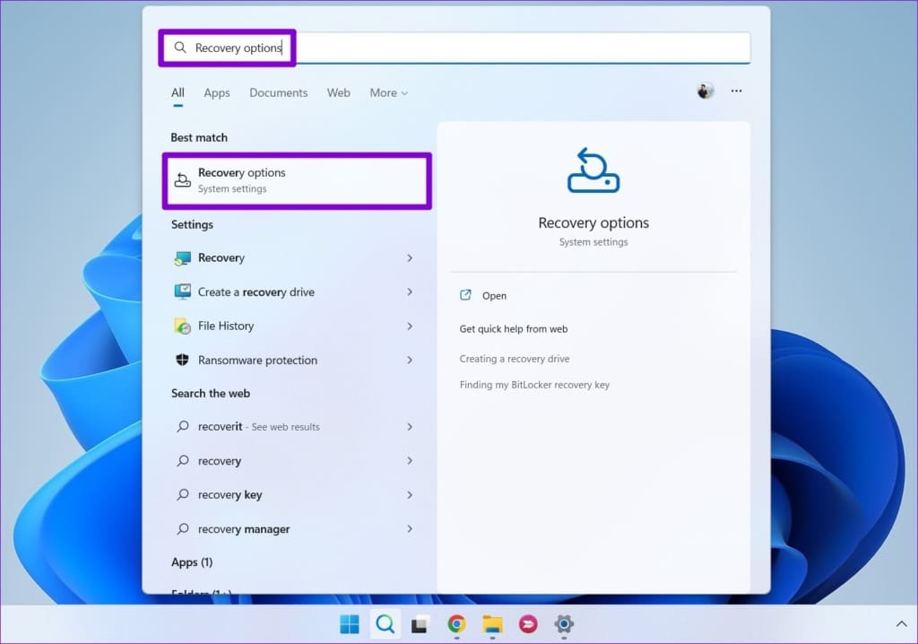 Open Recovery Options in Windows 11