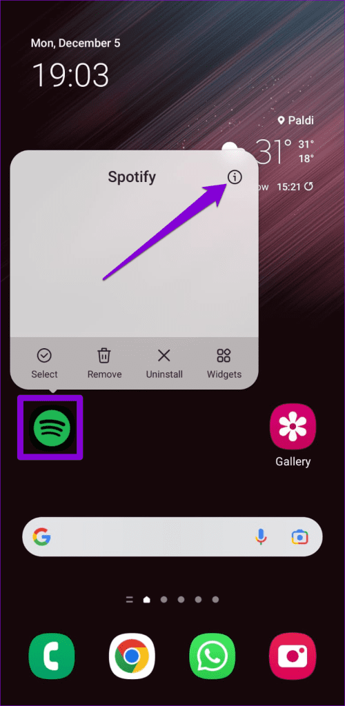 Open Spotify App Info