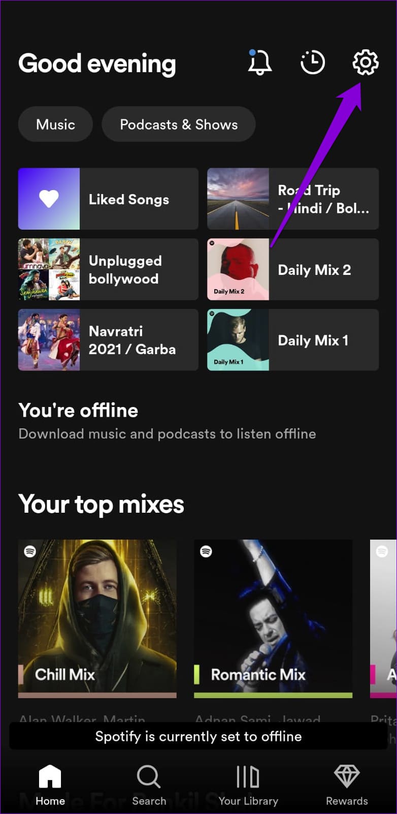 Open Spotify Settings