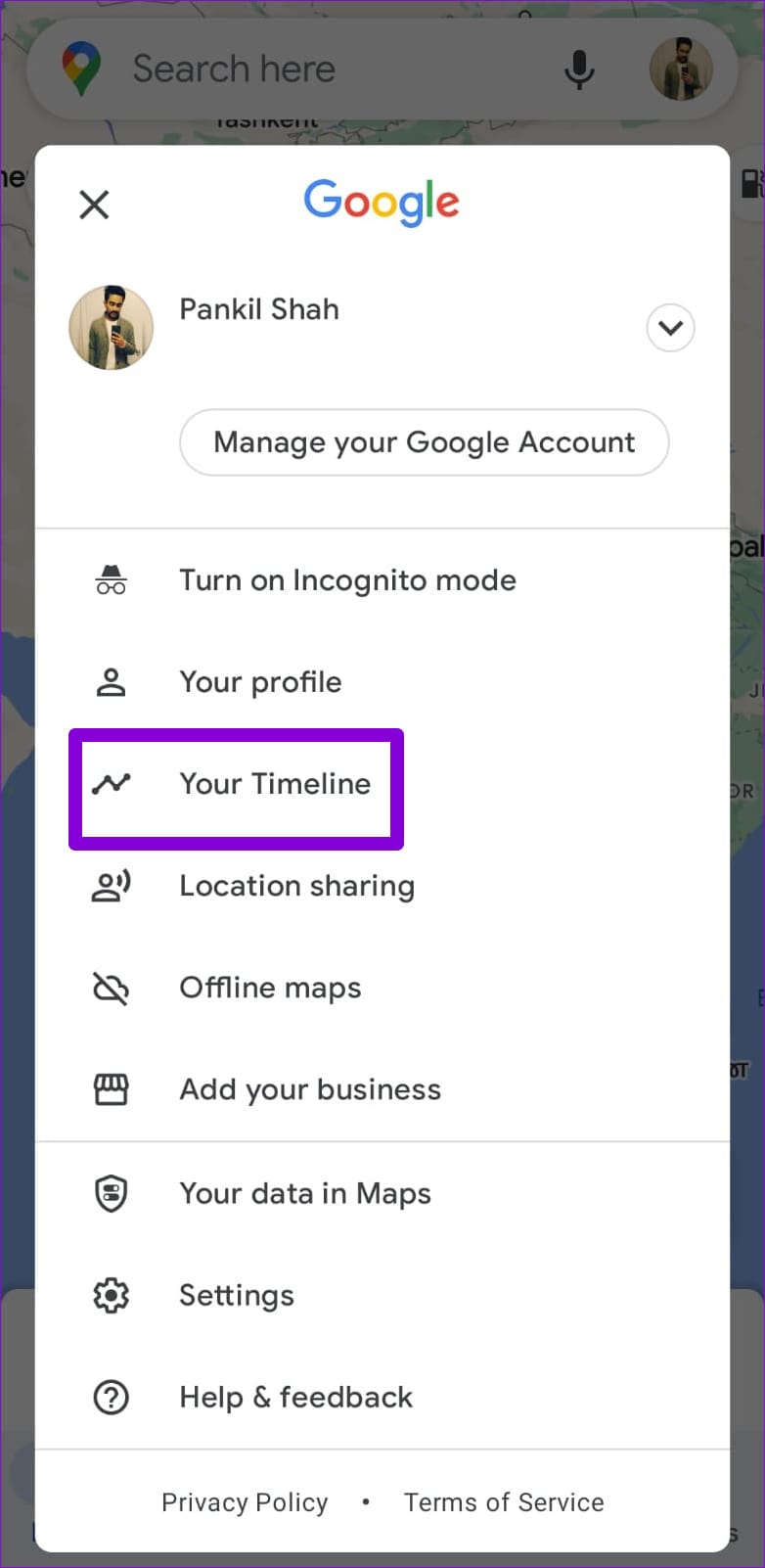 Open Timeline in Google Maps