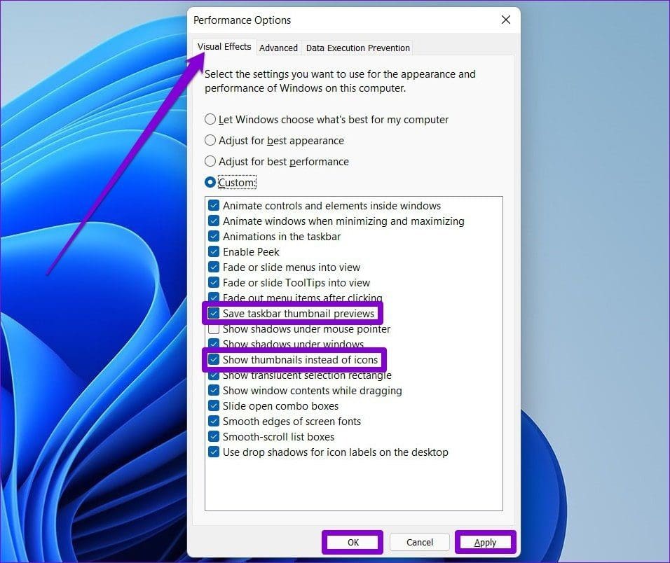 Performance Options on Windows