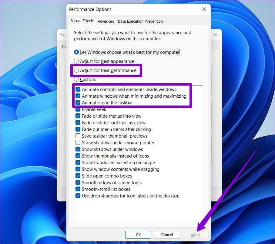 Performance Options