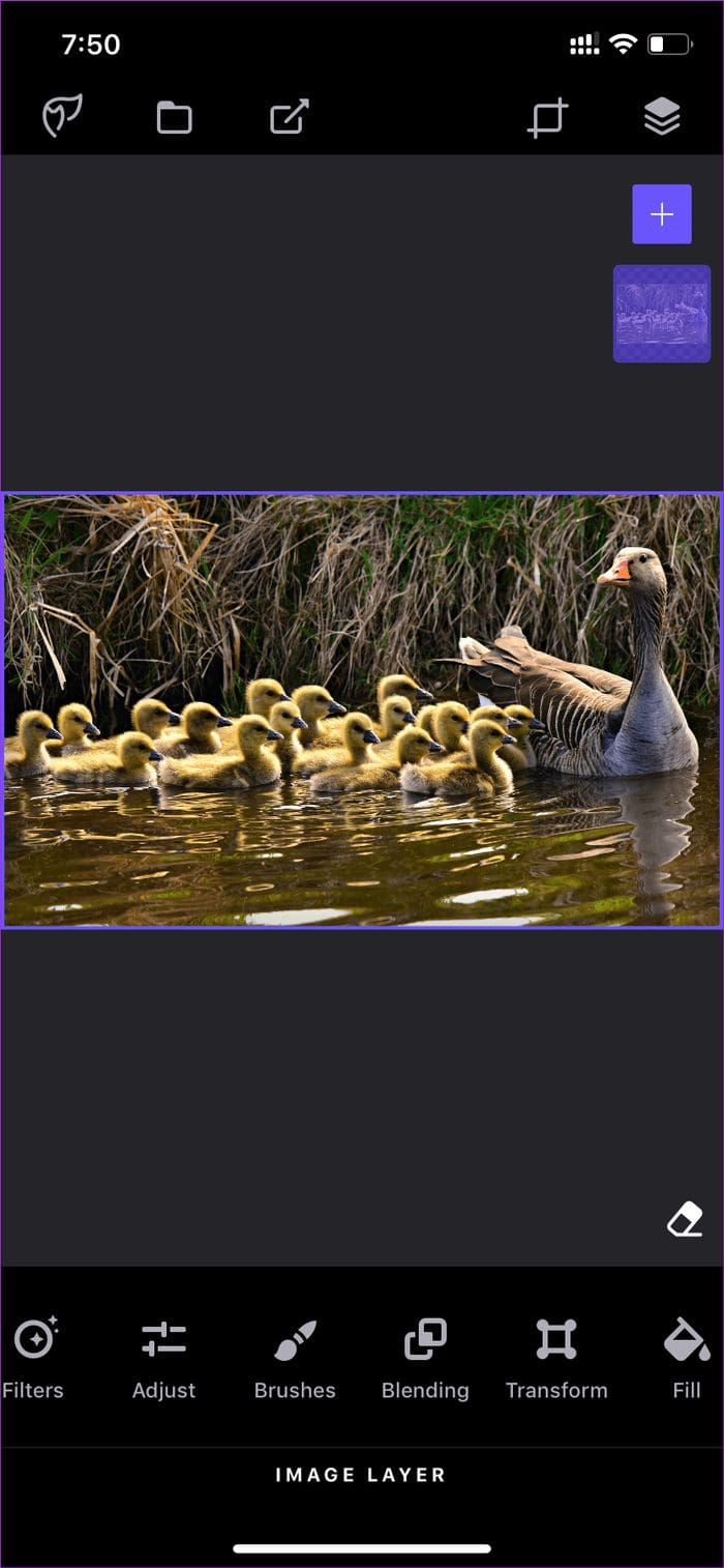 Photofox Options