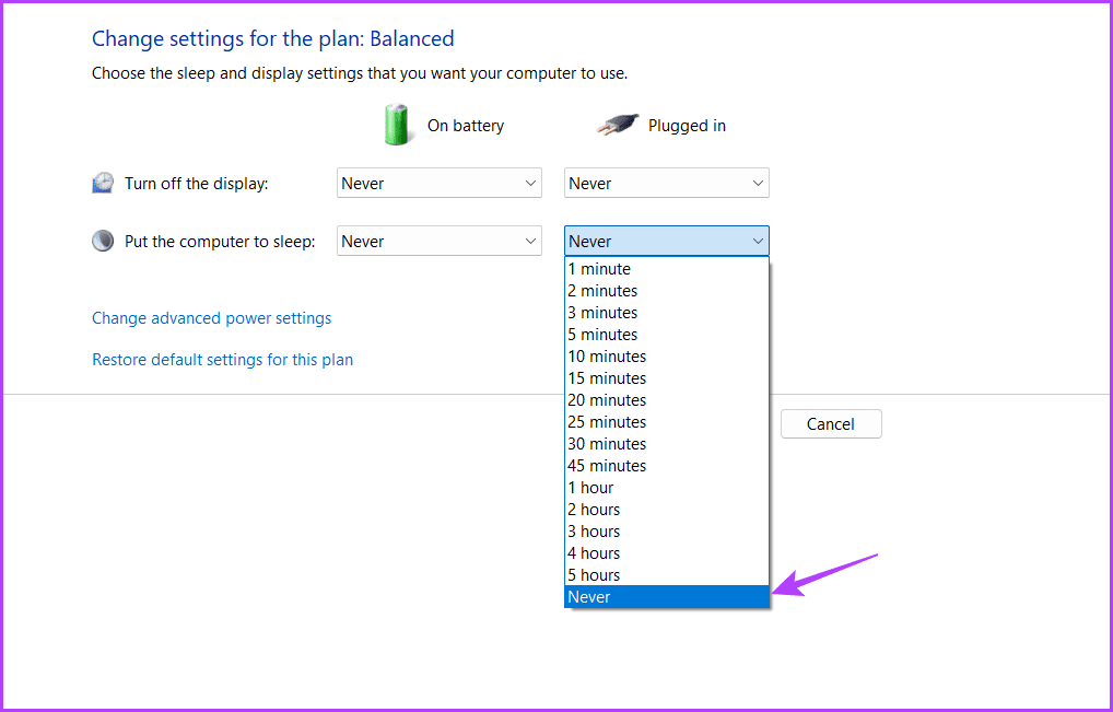 Plugged In option in Control Panel