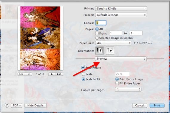 Preview Layout 1