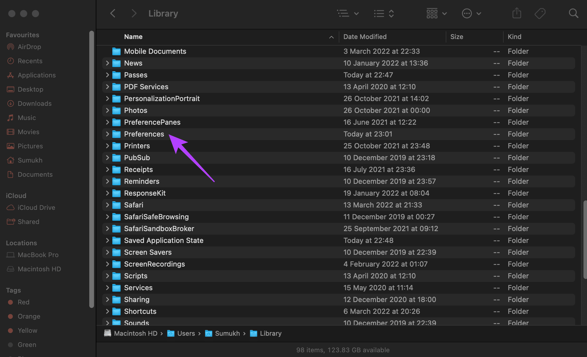 Preferences folder for preview