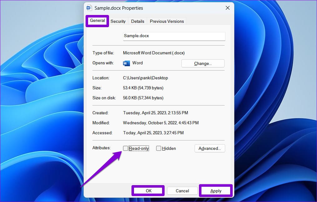 Remove Read Only Attribute for File