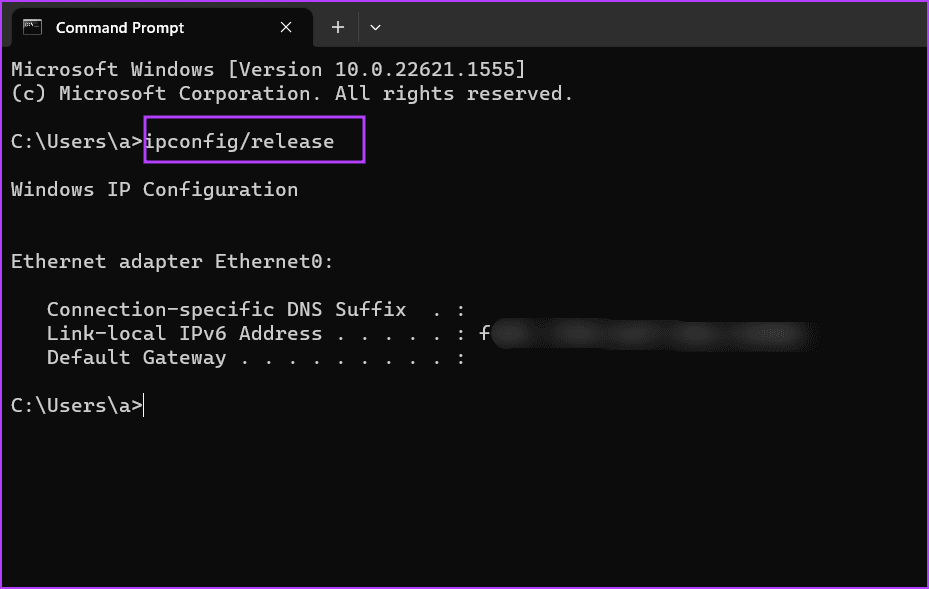 Renewing DHCP Lease in Terminal app