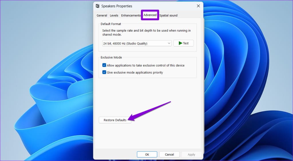 Reset Speaker Settings in Windows 11