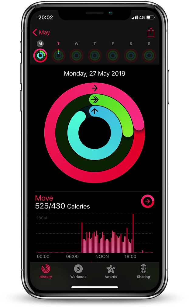 Rings Activity