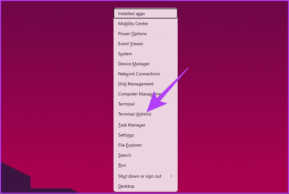 select Terminal (Admin)