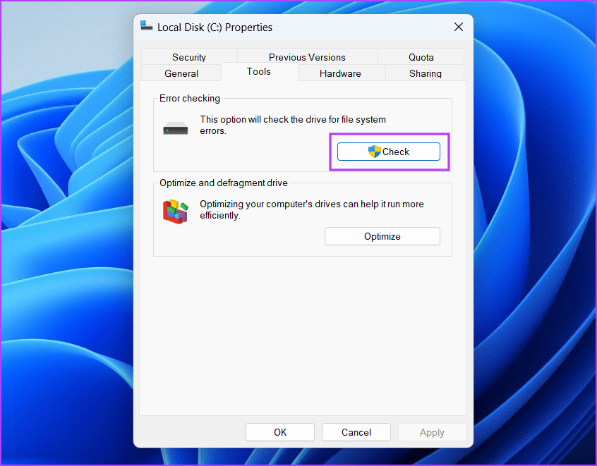 Running a Check Disk Scan