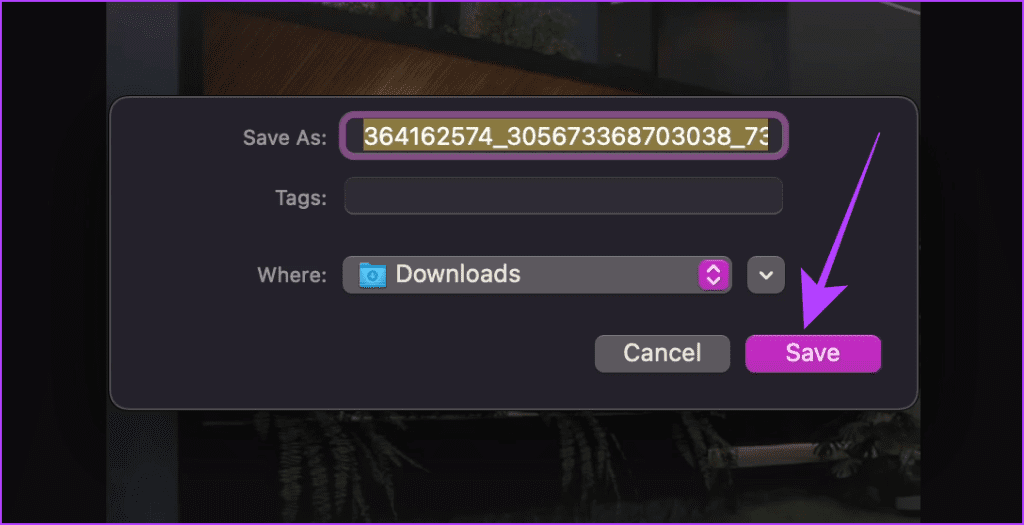 Save Media File to Your Computer