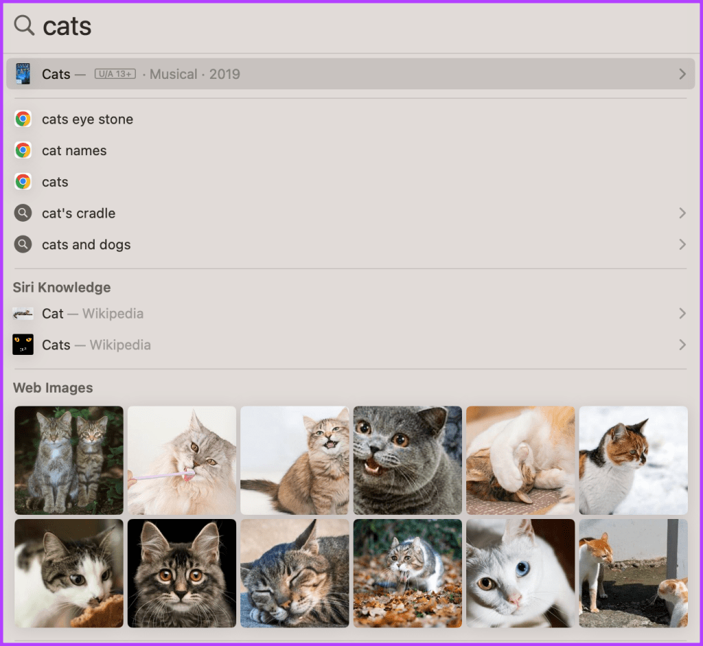 Search images from web within Spotlight on Mac