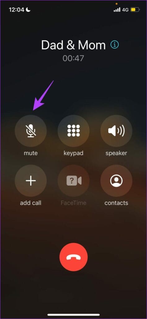 Select Mute icon