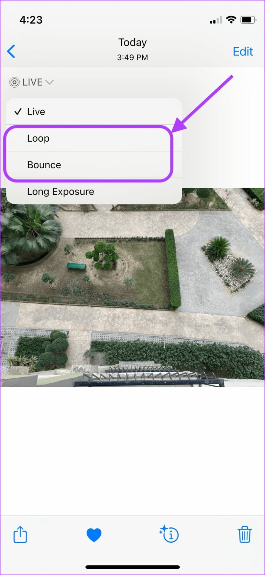 Send Live Photos as GIFs from Photos App 4