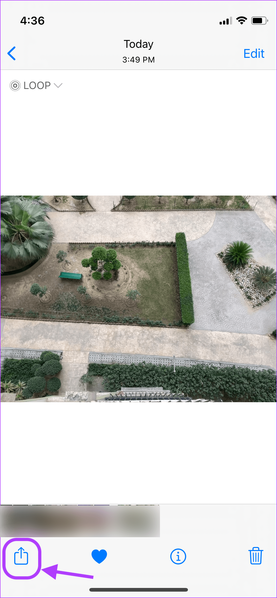 Send Live Photos as GIFs from Photos App 5