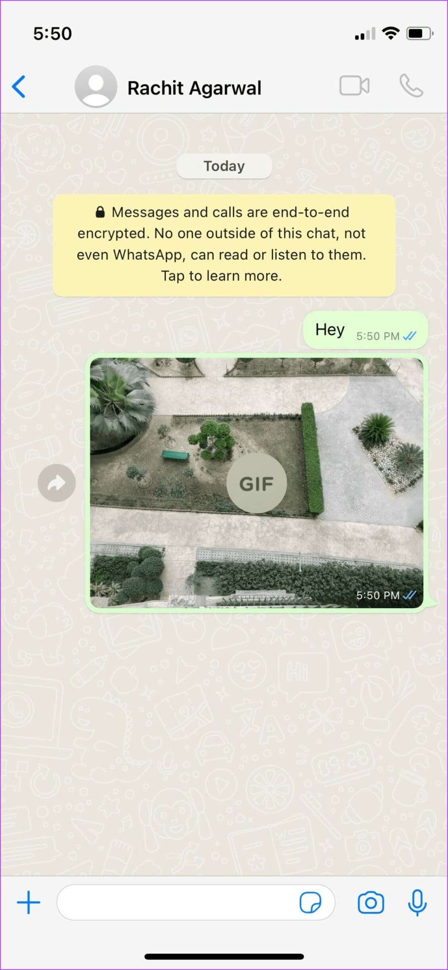 Send Live Photos as GIFs from Photos App 9