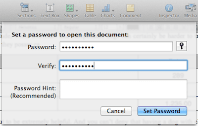 Set Password