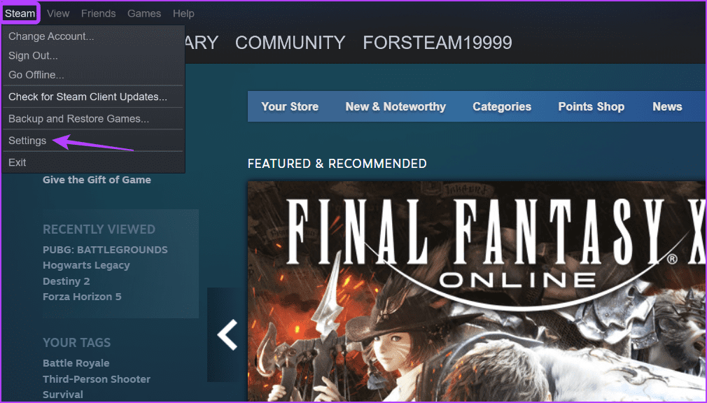 Settings option in Steam