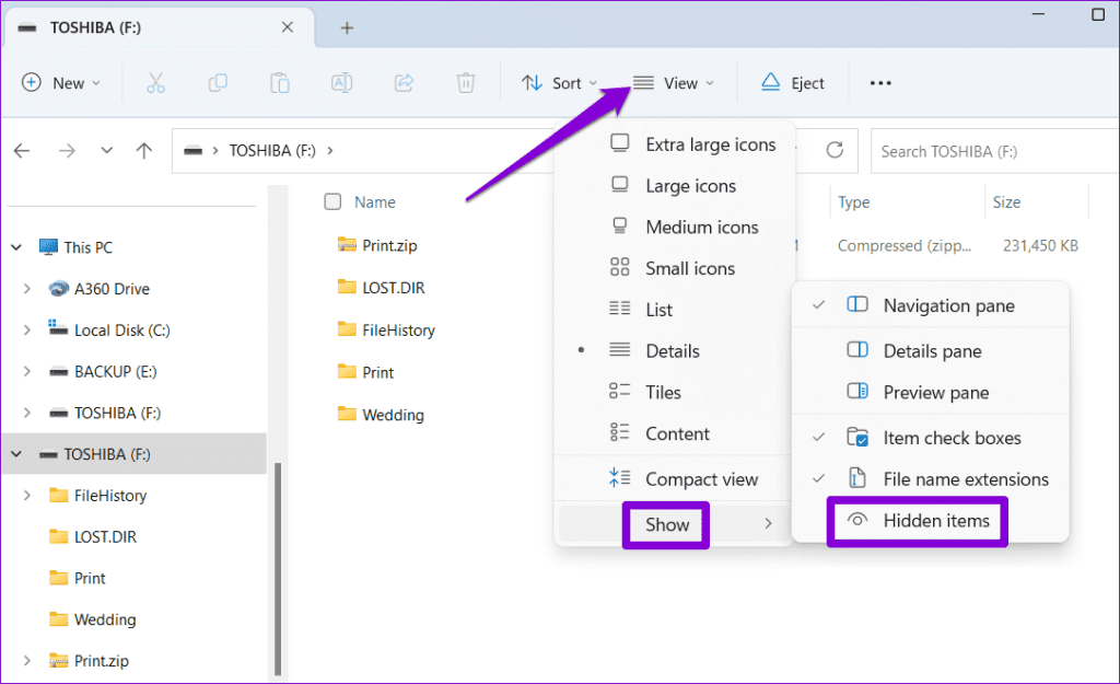 Show Hidden Files in File Explorer