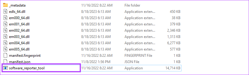 Software reporter exe
