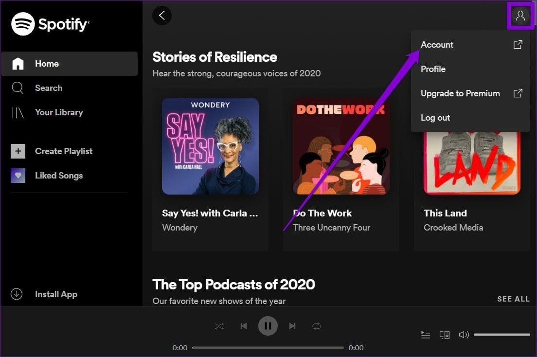 Spotify Account Settings