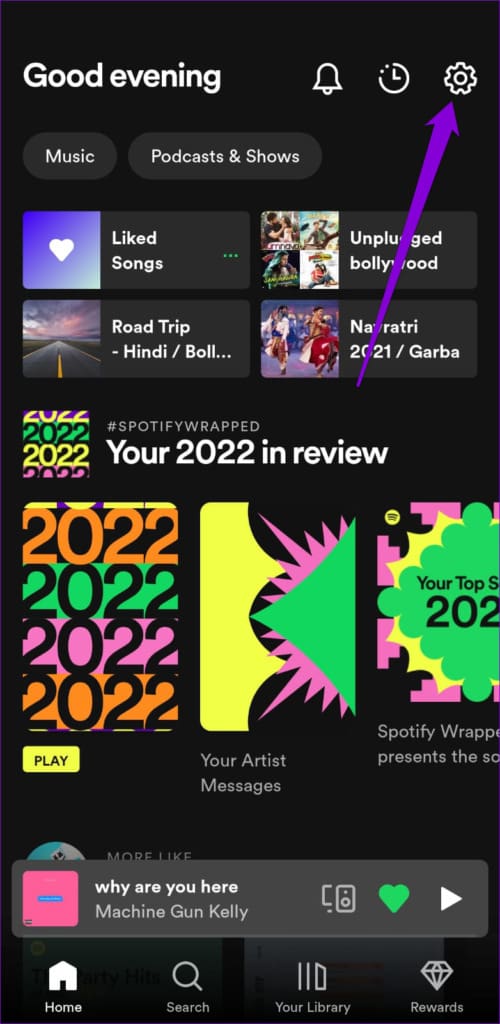 Spotify App Settings