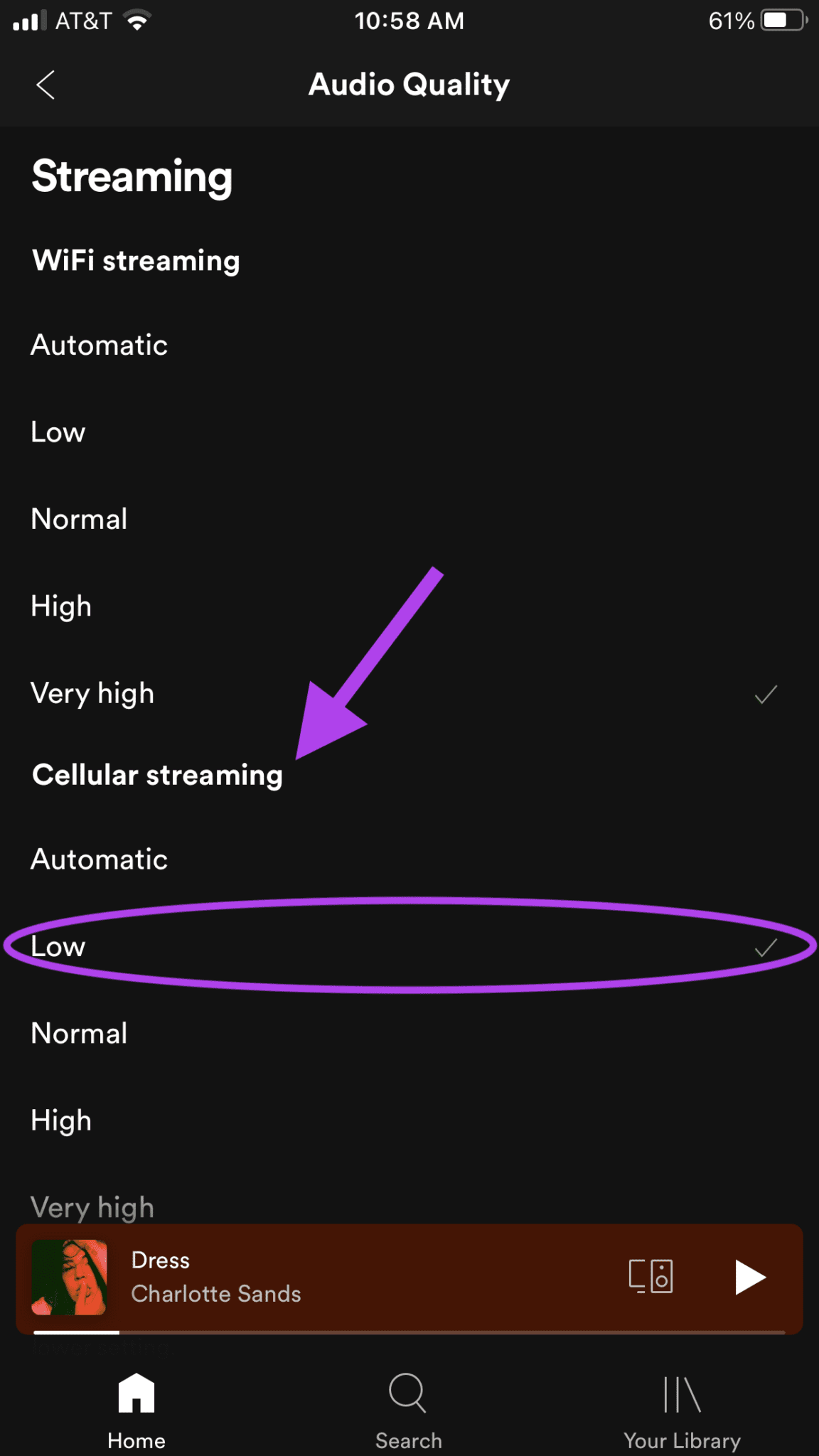 Spotify Audio Quality Settings