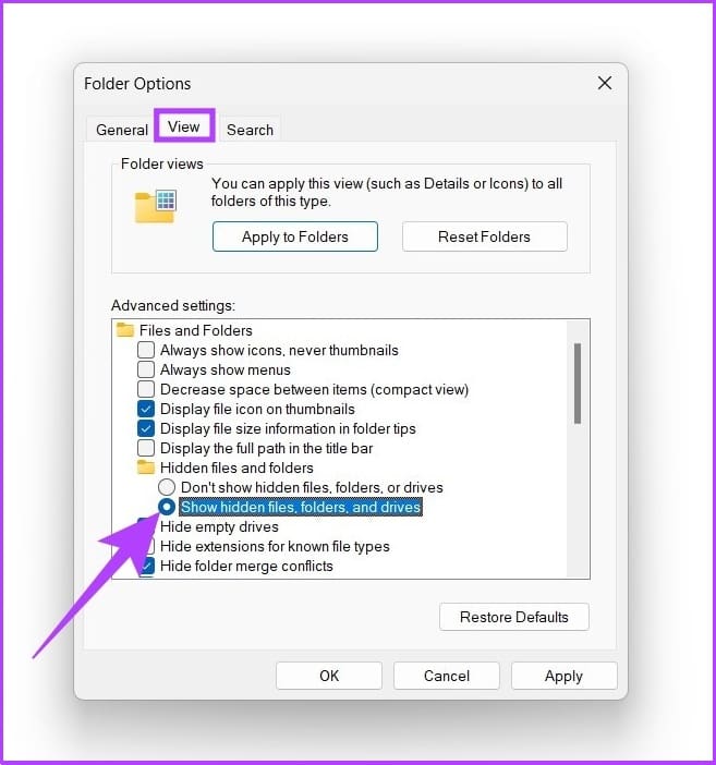 Select Show hidden files, folders, and drives