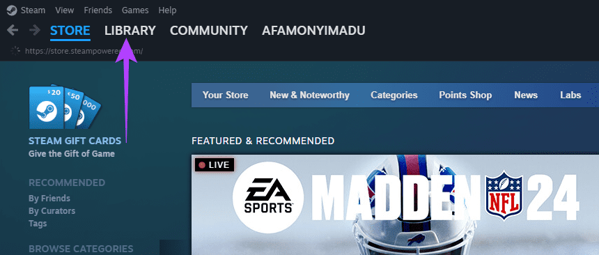 Steam Libraries