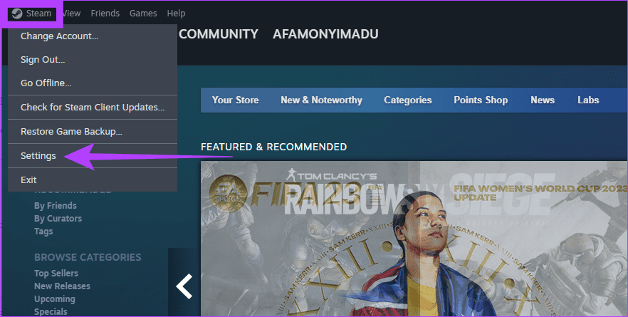 Steam Settings 2
