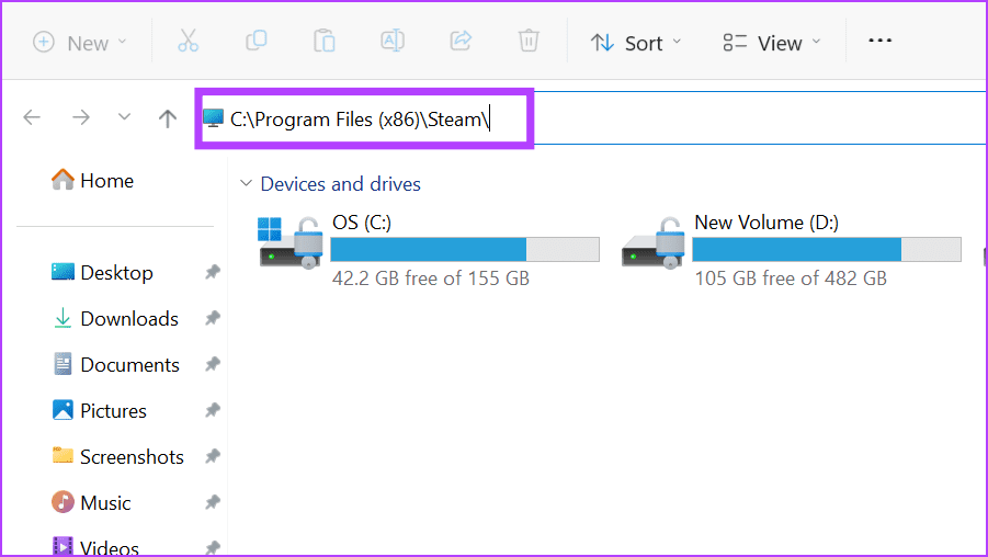 Restart Steam From the Programs Folder